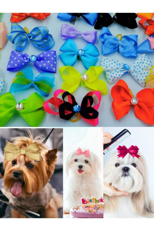 Köpek Toka Karışık 20 Adet - Taşlı Lüks Aksesuar Lastikli Toka