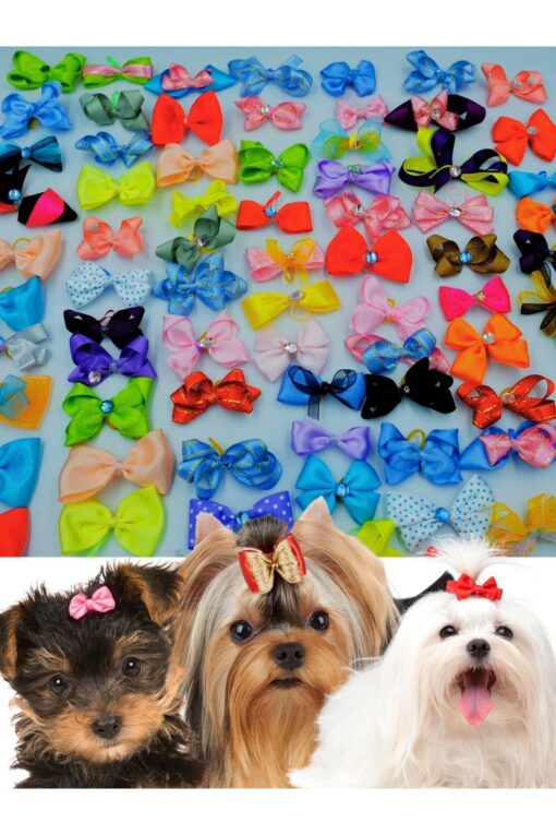Köpek Toka Karışık 20 Adet - Taşlı Lüks Aksesuar Lastikli Toka - Görsel 7