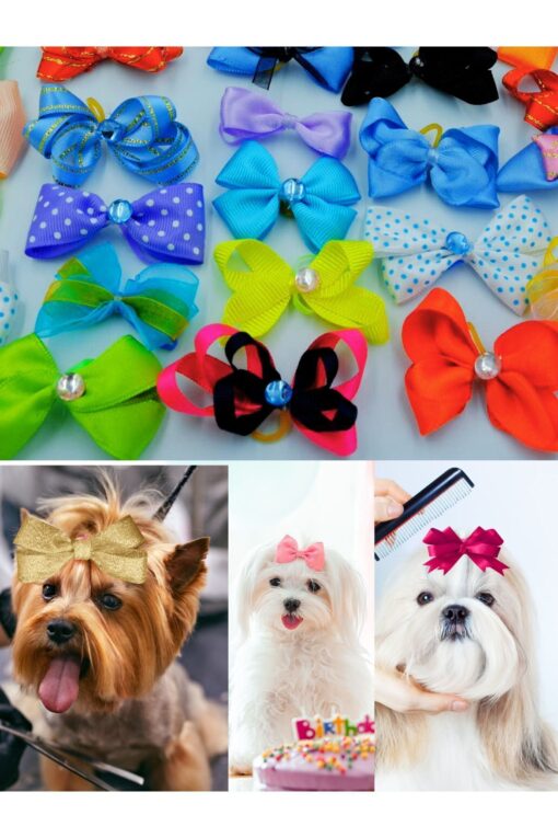 Köpek Toka Karışık 10 Adet - Lüks Taşlı Fiyonk Aksesuar Lastikli Toka - Görsel 3