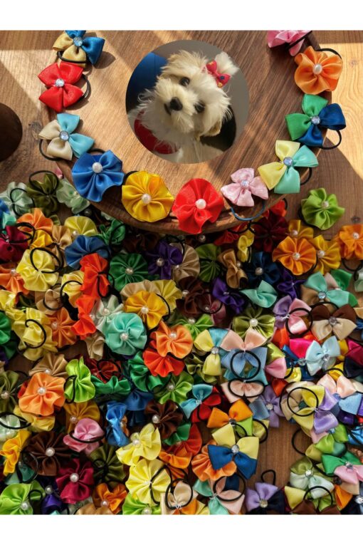 lastikli kedi köpek tokası 20 adet karışık