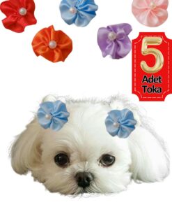 Çiçek Kedi Köpek Tokası 5 Li Set Karışık Renklerde Hbyoll, One Size