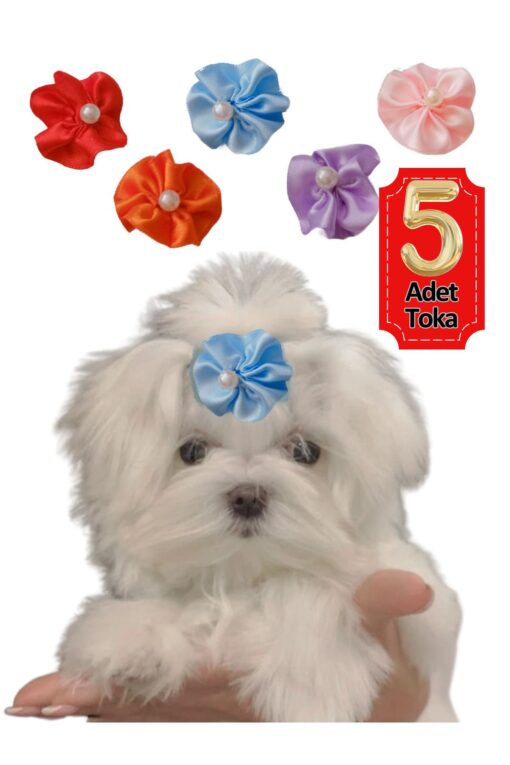 Çiçek Kedi Köpek Tokası 5 Li Set Karışık Renklerde Hbyoll, One Size - Görsel 2