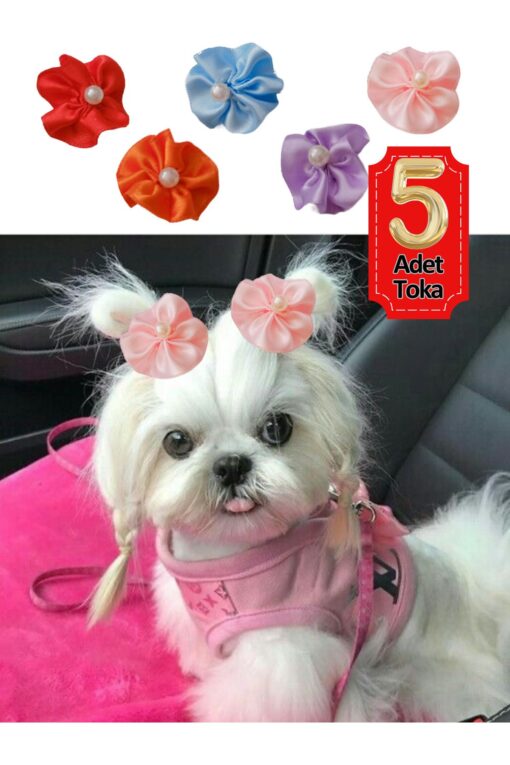 Çiçek Kedi Köpek Tokası 5 Li Set Karışık Renklerde Hbyoll, One Size - Görsel 3