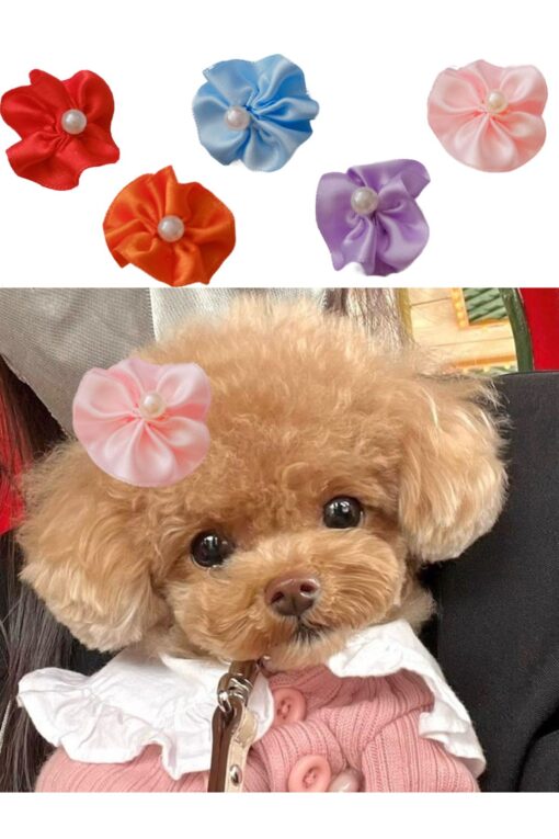 Çiçek Kedi Köpek Tokası 5 Li Set Karışık Renklerde Hbyoll, One Size - Görsel 4