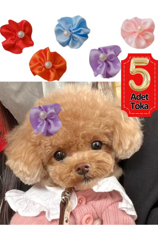Çiçek Kedi Köpek Tokası 5 Li Set Karışık Renklerde Hbyoll, One Size - Görsel 5