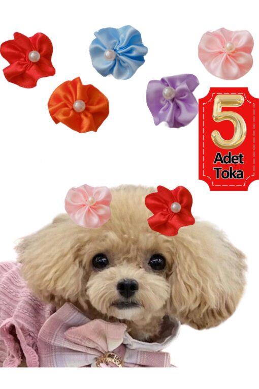 Çiçek Kedi Köpek Tokası 5 Li Set Karışık Renklerde Hbyoll, One Size - Görsel 6