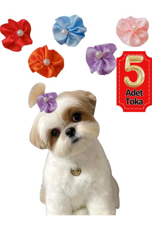 Çiçek Kedi Köpek Tokası 5 Li Set Karışık Renklerde Hbyoll, One Size - Görsel 7