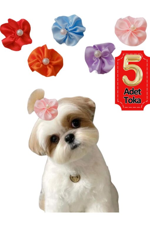 Çiçek Kedi Köpek Tokası 5 Li Set Karışık Renklerde Hbyoll, One Size - Görsel 8