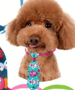 Kedi Köpek desenli kravat tasma ayarlanabilir 1 adet rastgele desen