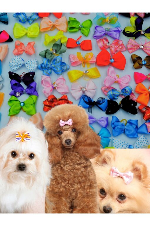 köpek toka karışık 10 adet LÜX taşlı fiyonk aksesuar lastikli toka - Görsel 5