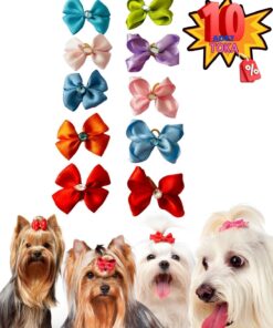 Köpek Tokası 10 Lu Lüx Set Taşlı Fiyonk Şık Tasarım