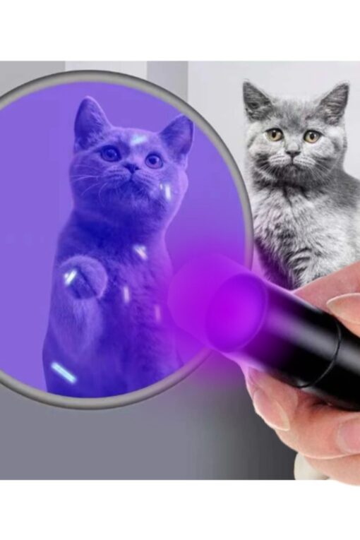 idrar gösteren uv ışıklı büyük boy el feneri ultraviyole kedi köpek mantar - Görsel 3