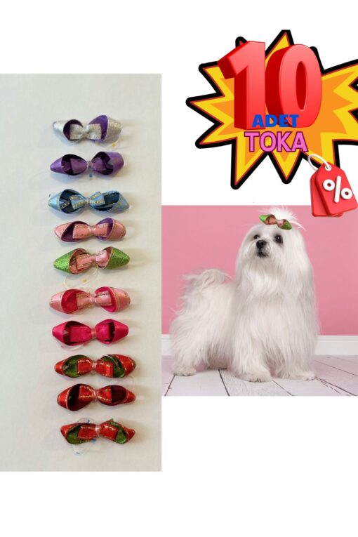 kedi köpek toka 10 adet karışık pet aksesuar