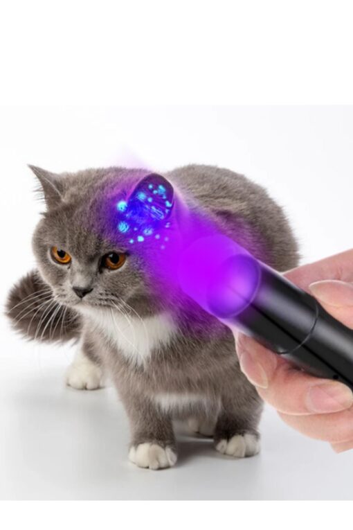 ultraviyole kedi köpek mantar idrar gösteren uv ışıklı büyük boy el feneri - Görsel 3