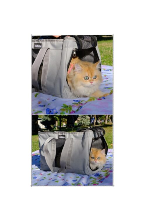 Kedi Köpek Pet Taşıma Çantası