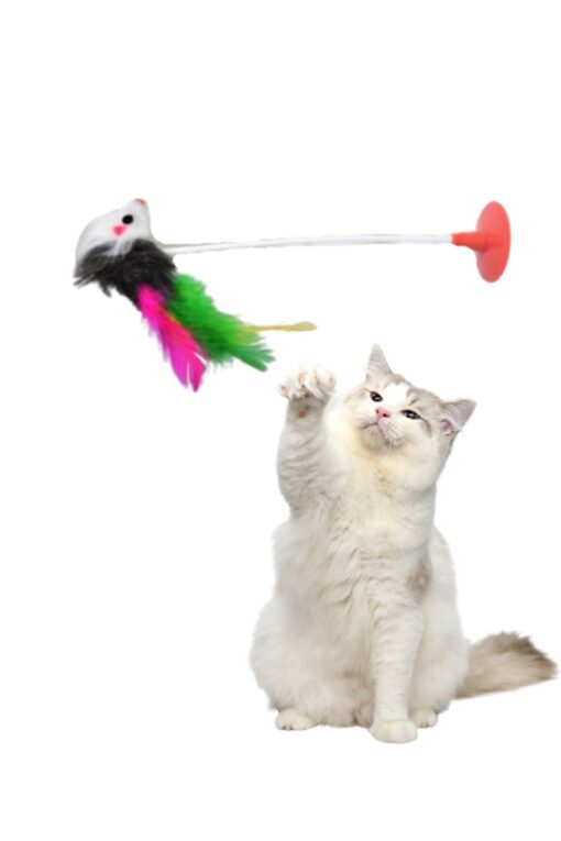 kedi fare oyuncağı vantuzlu - Görsel 2